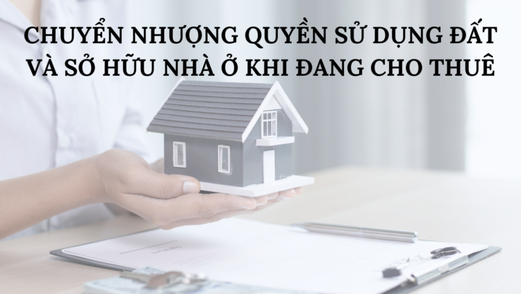 CHUYỂN NHƯỢNG QUYỀN SỬ DỤNG ĐẤT VÀ SỞ HỮU NHÀ Ở KHI ĐANG CHO THUÊ